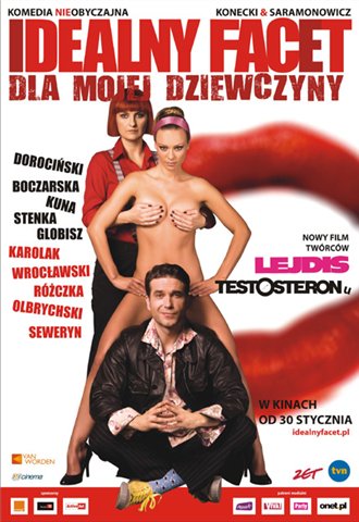 Idealny facet dla mojej dziewczyny /      (2009)