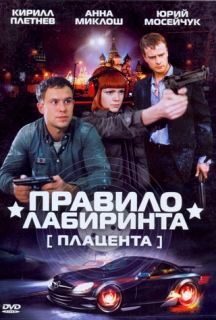  /   (2009)
