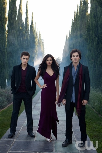 The Vampire Diaries /  