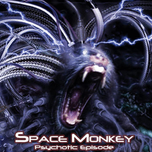 Space Monkey/Space Monkey (2004)