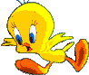   kbkbz2566
