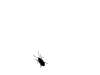   peleda
