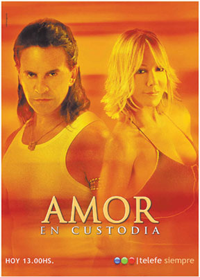 Amor en custodia /  (2005)