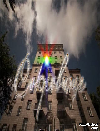  /  (2006)