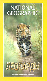 Stalking Leopards /   (2001)