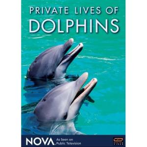 Private Lives of Dolphins /  (2006)