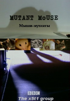 Mutant Mouse /  : - (2004)