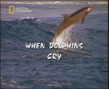 When dolphins cry /    (2003)