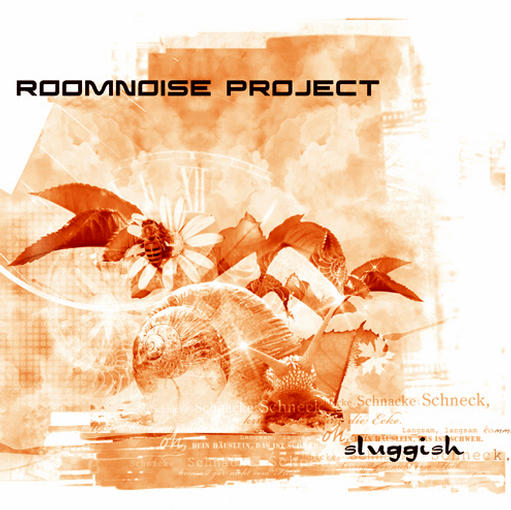 Roomnoise Project/Roomnoise Project (2008)