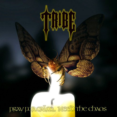 Tribe/Tribe (2009)