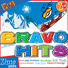 BRAVO HITS/BRAVO HITS (2004)