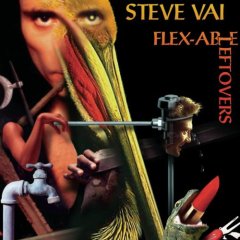 Steve Vai/Steve Vai (1998)